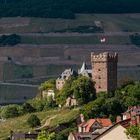 Burg Klopp