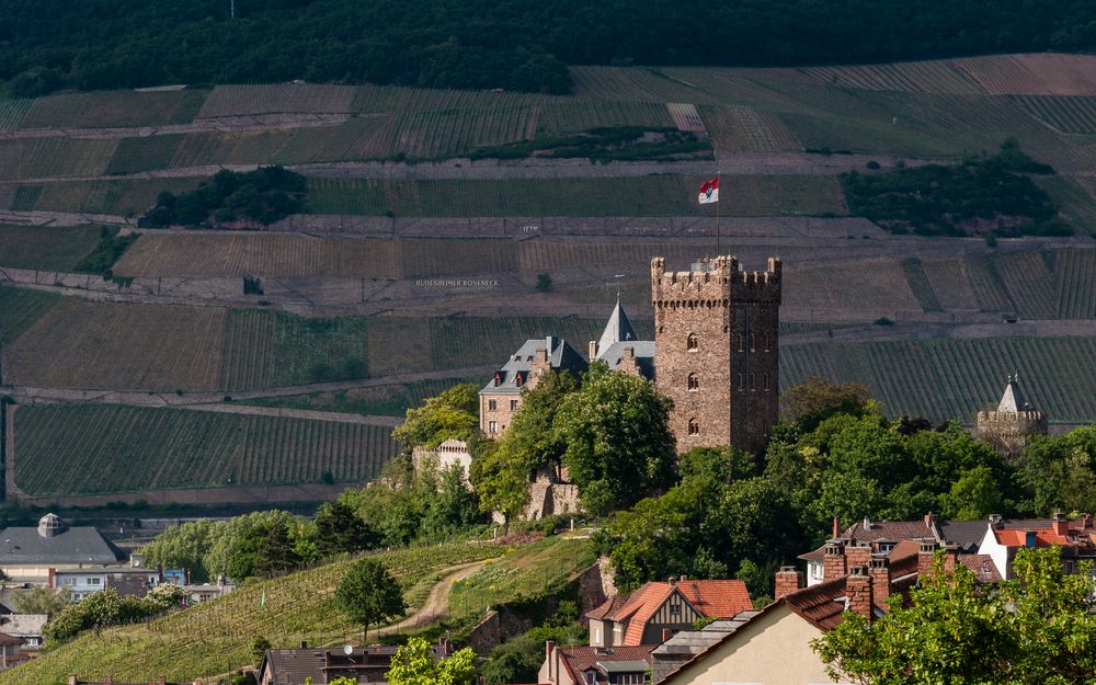 Burg Klopp