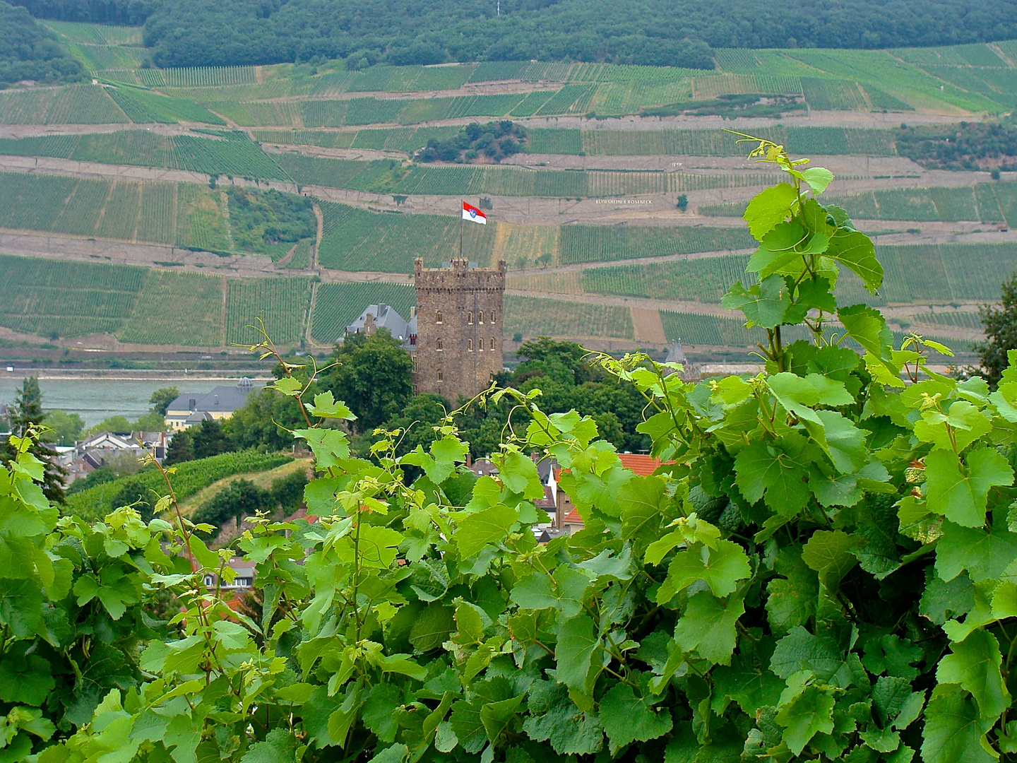 Burg Klopp