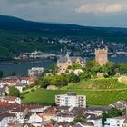 Burg Klopp in Bingen 28