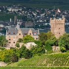 Burg Klopp in Bingen 37