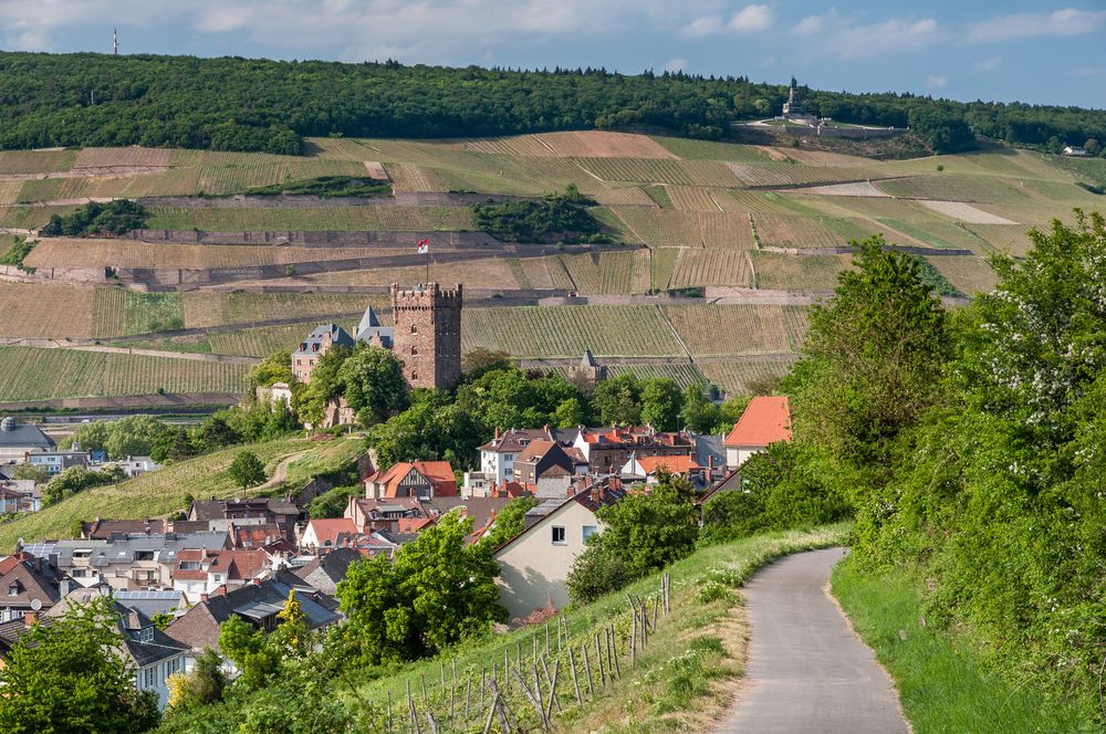 Burg Klopp + Niederwalddenkmal