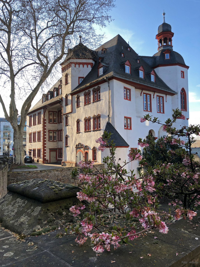 burg-koblenz