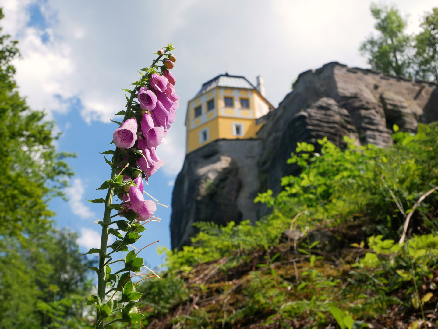 Burg Königstein