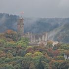 Burg Königstein