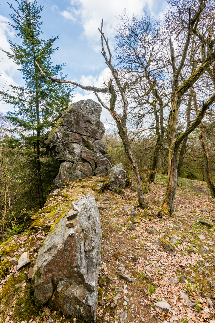 Burg Koppenstein 76