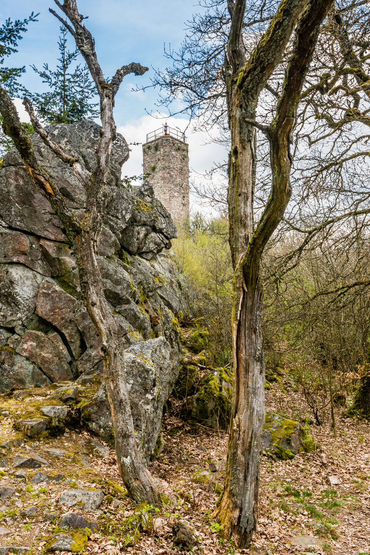 Burg Koppenstein 81