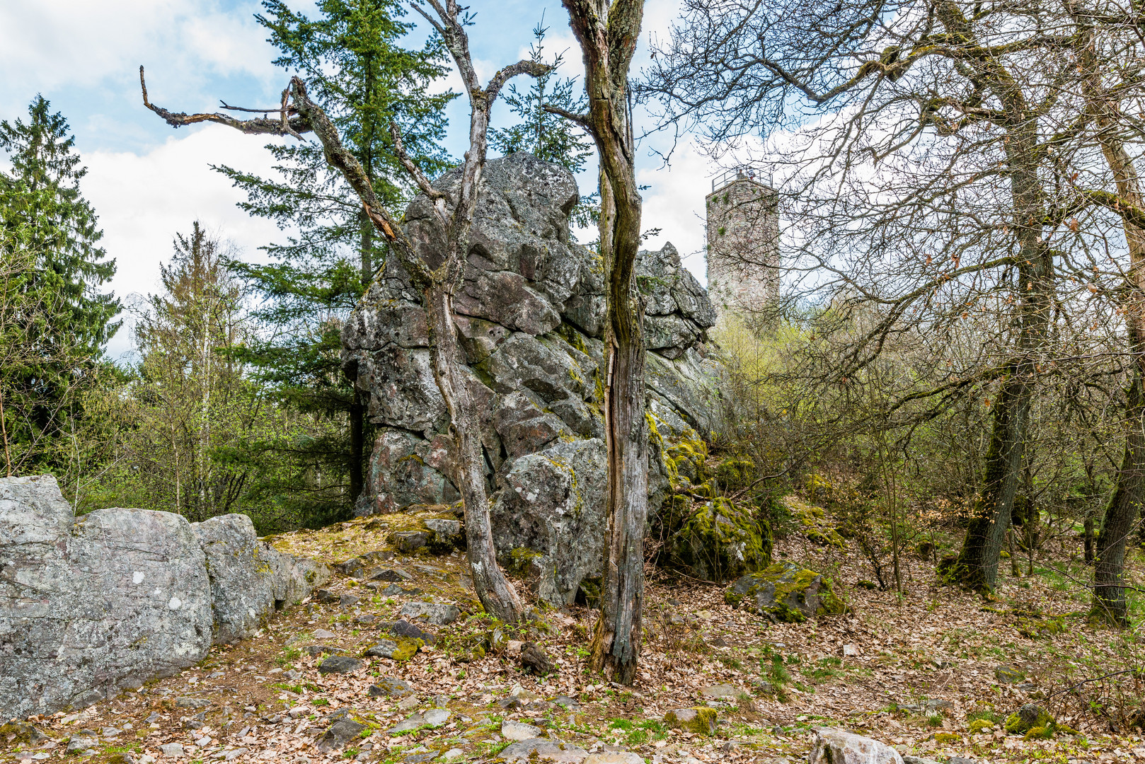 Burg Koppenstein 85