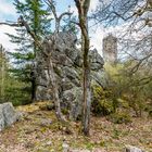 Burg Koppenstein 85