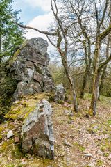 Burg Koppenstein 87