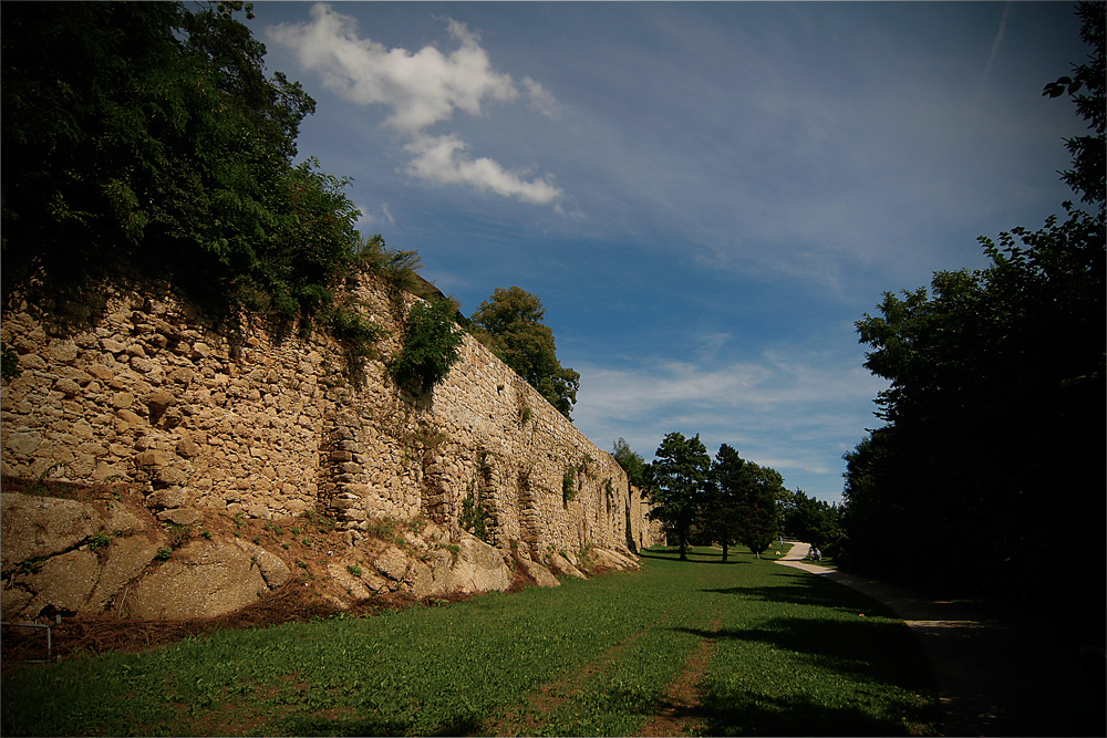 Burg Kreuzen