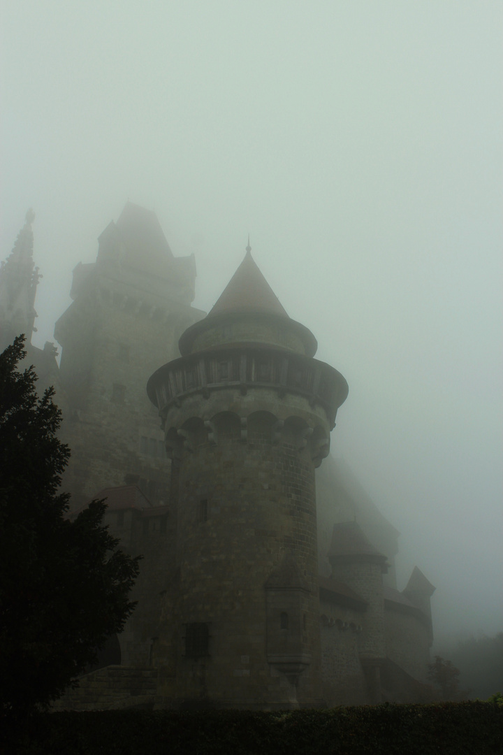 Burg Kreuzenstein im Nebel