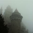 Burg Kreuzenstein im Nebel