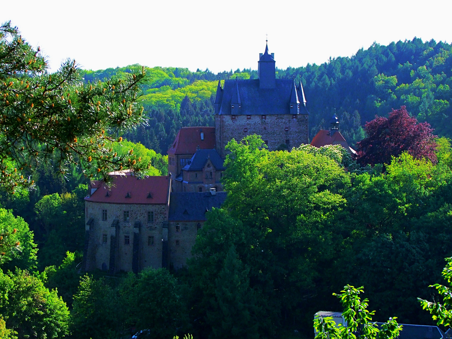 Burg Kriebstein