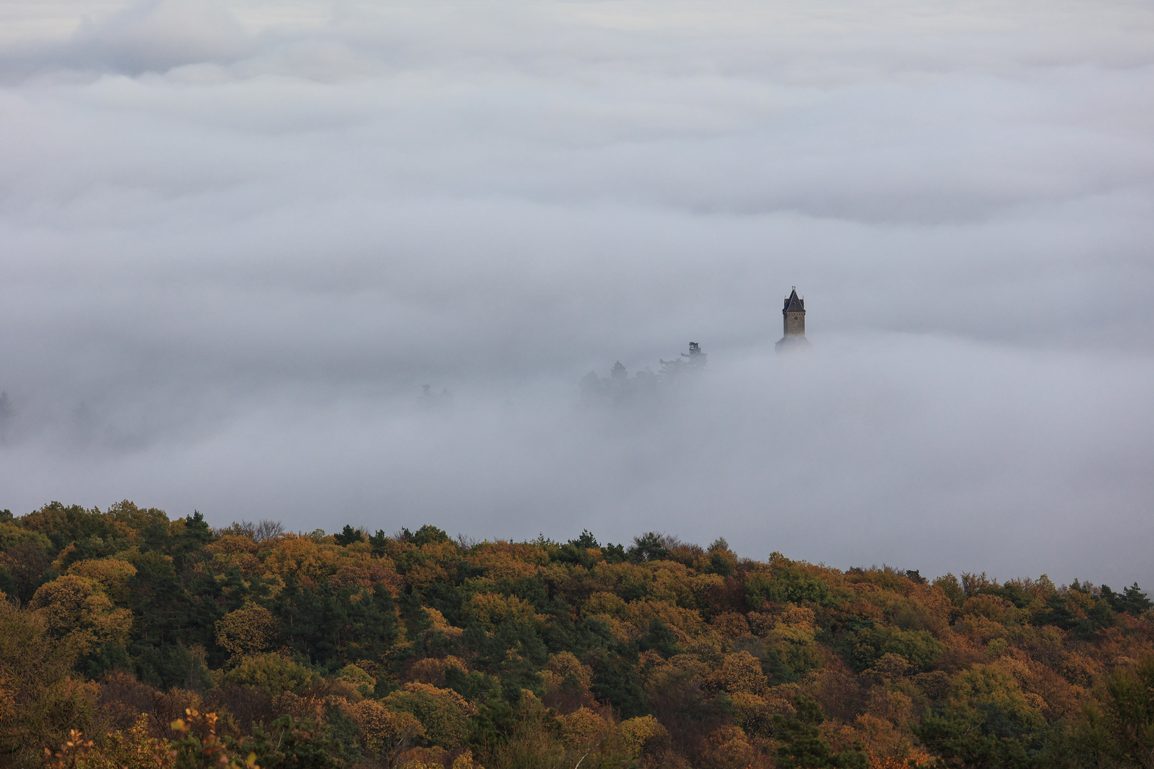 Burg Kronberg im Nebel