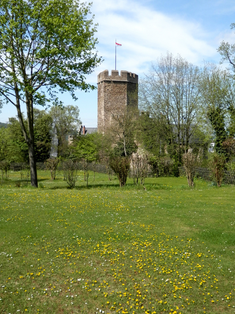 Burg Lahneck (1)