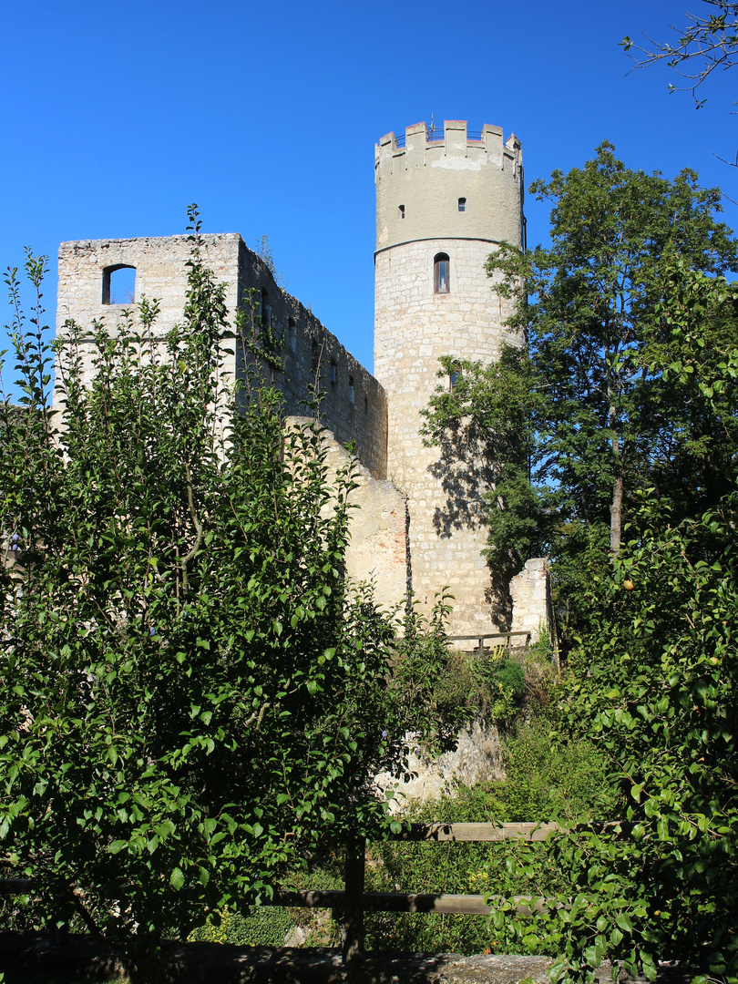 Burg Landeck