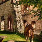 Burg Landeck bei Emmendingen 