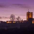 Burg Landeck bei Klingenmünster