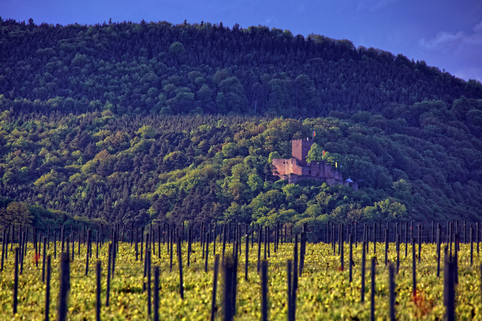 Burg Landeck