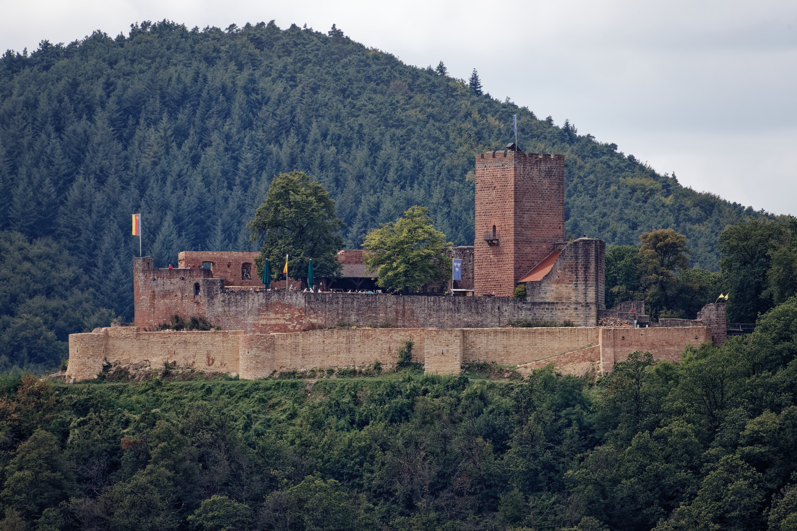 Burg Landeck