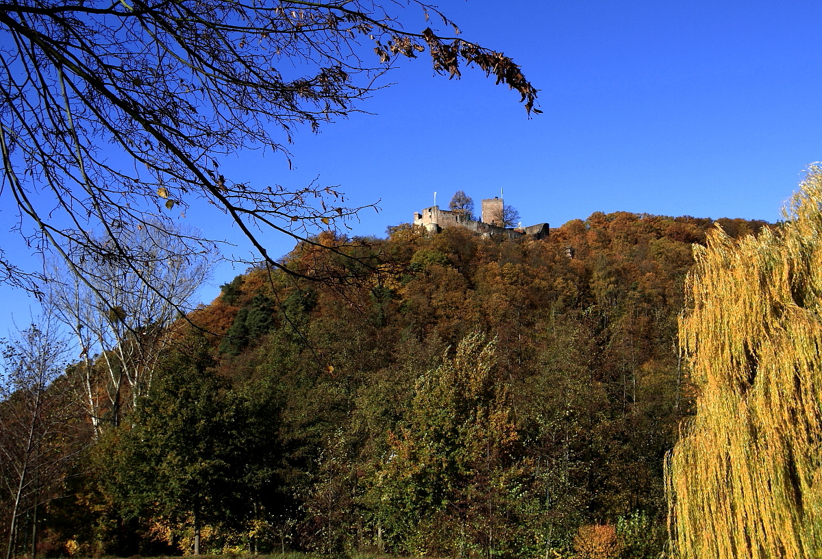 Burg Landeck (Pfalz)