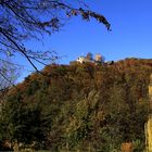 Burg Landeck (Pfalz)