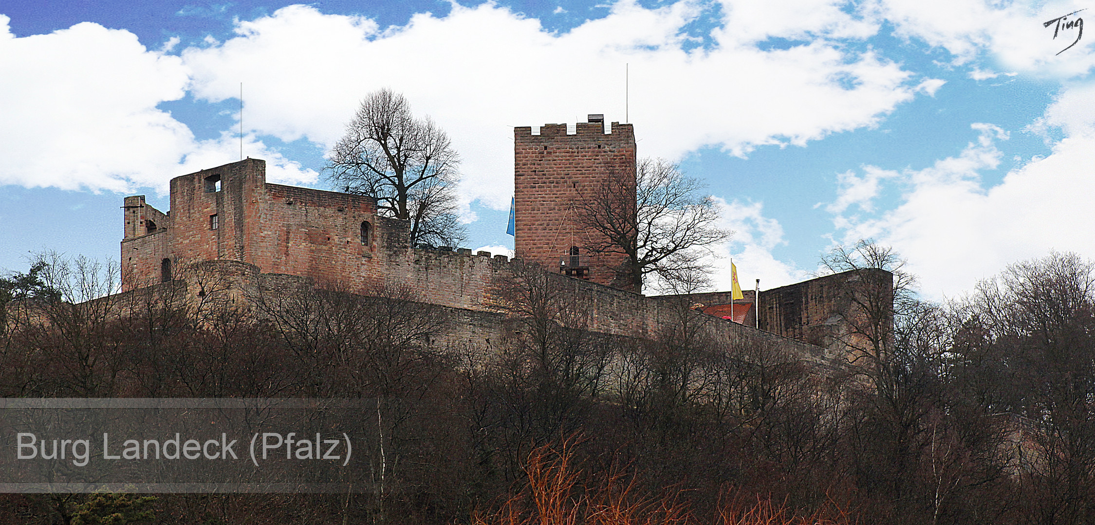 Burg Landeck (Pfalz)