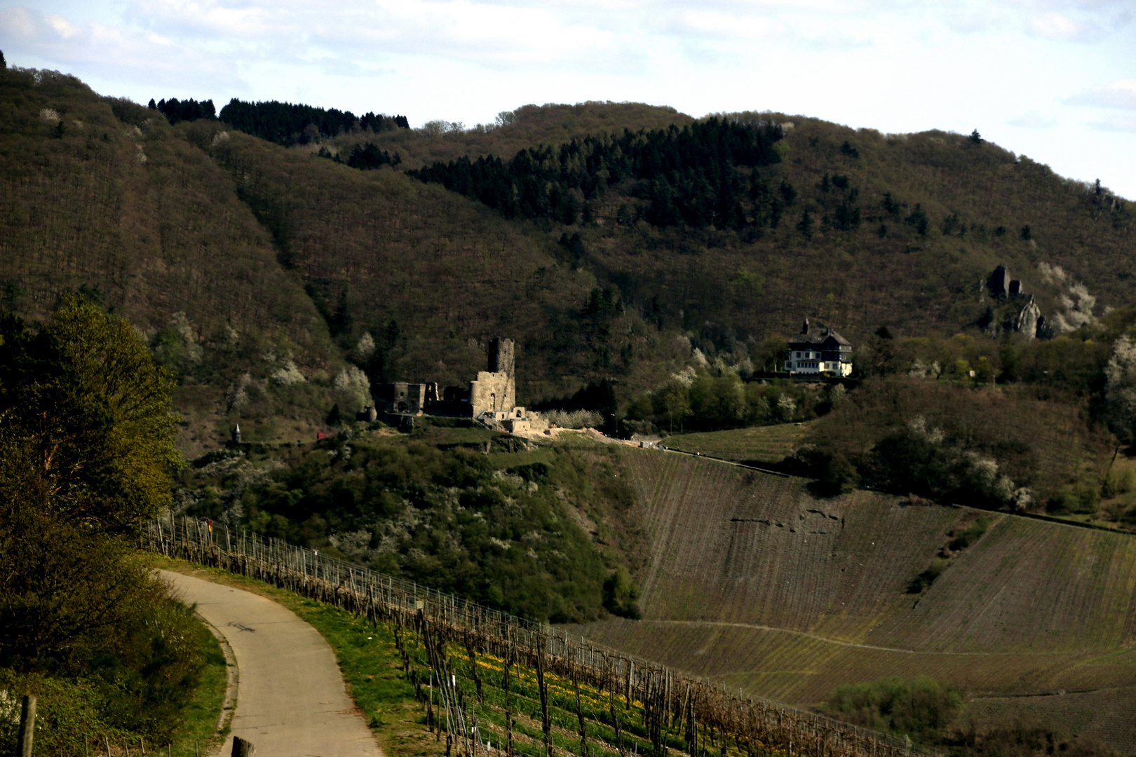 Burg Landshut bei Berkastel Kus