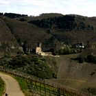 Burg Landshut bei Berkastel Kus