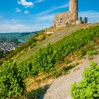 Burg Landshut-Bernkastel 98