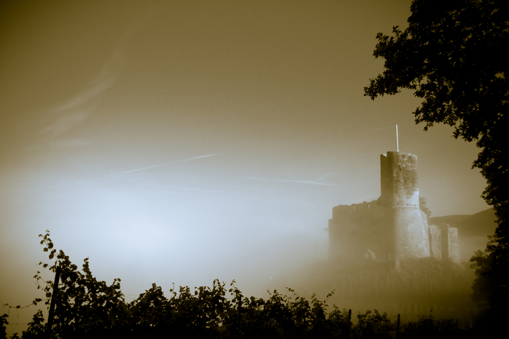 Burg Landshut im Nebel