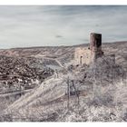 Burg Landshut [IR]