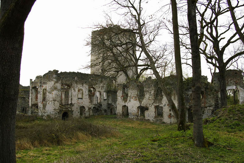 Burg Langenstein