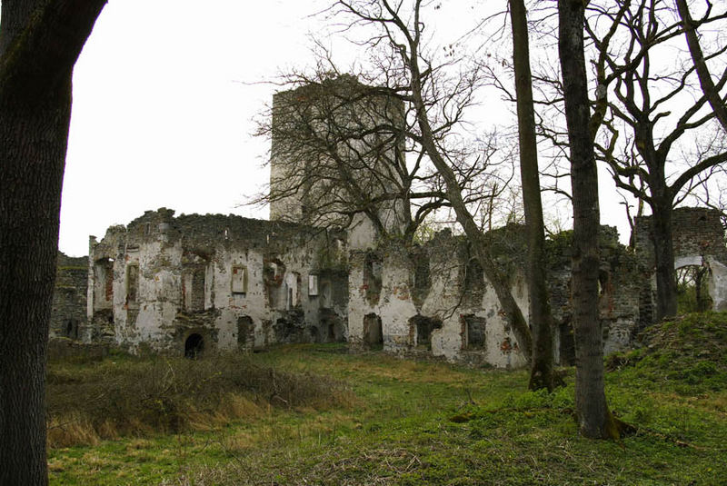 Burg Langenstein von Alfred Buchbauer