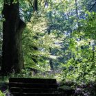 Burg Lauenstein3