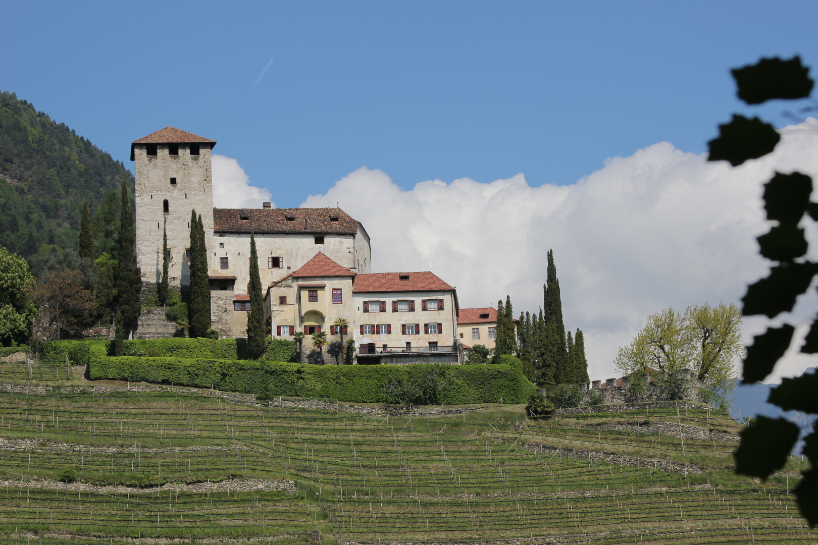 Burg Lebenberg