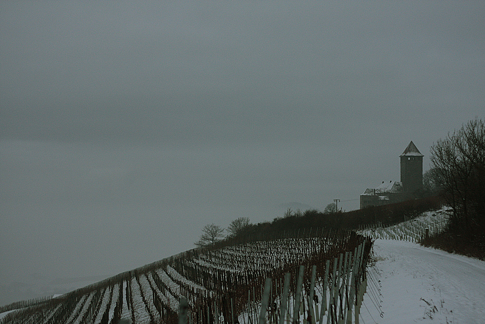 Burg Lichtenberg