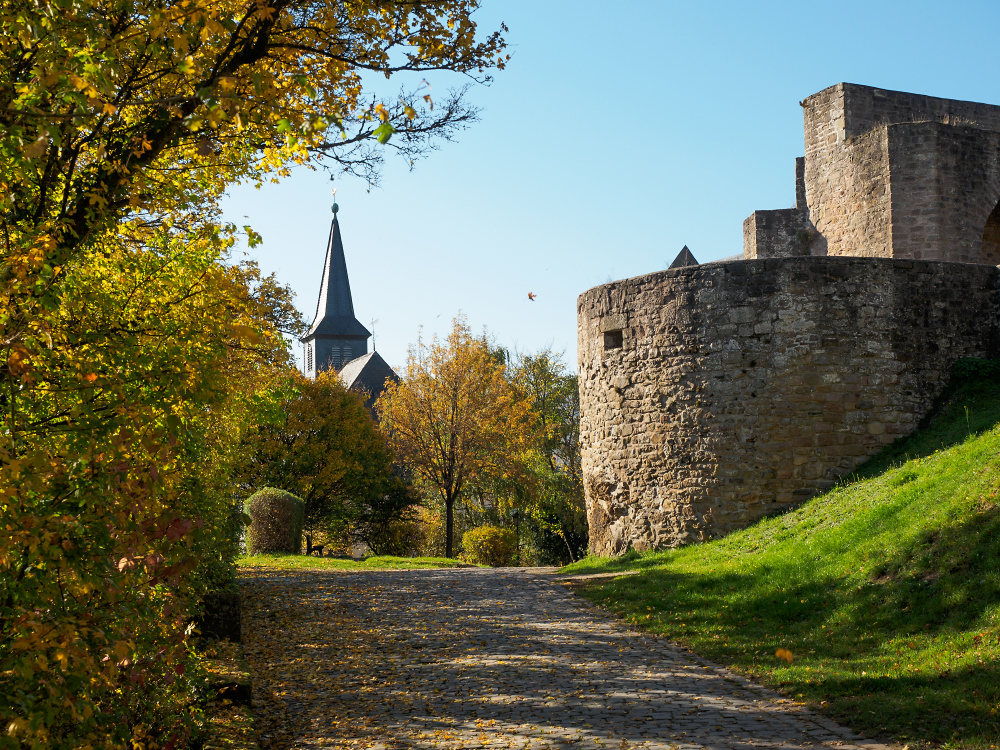 Burg Lichtenberg