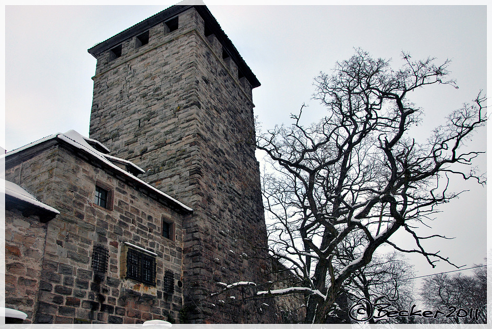 Burg Lichtenberg