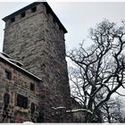 Burg Lichtenberg