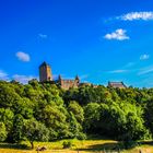 Burg Lichtenberg bei Kusel