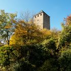 Burg Lichtenberg