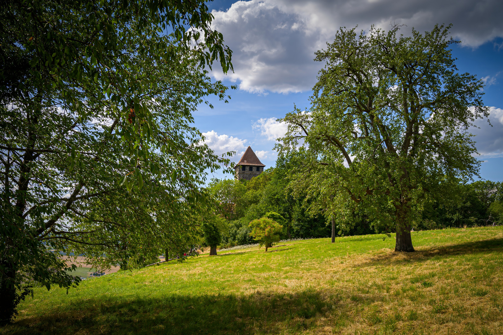 Burg Lichtenberg im schwäbischen Oberstenfeld