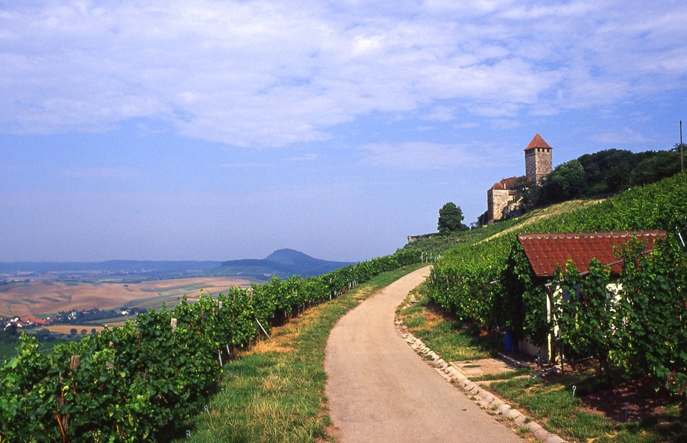 Burg Lichtenberg in Oberstenfeld