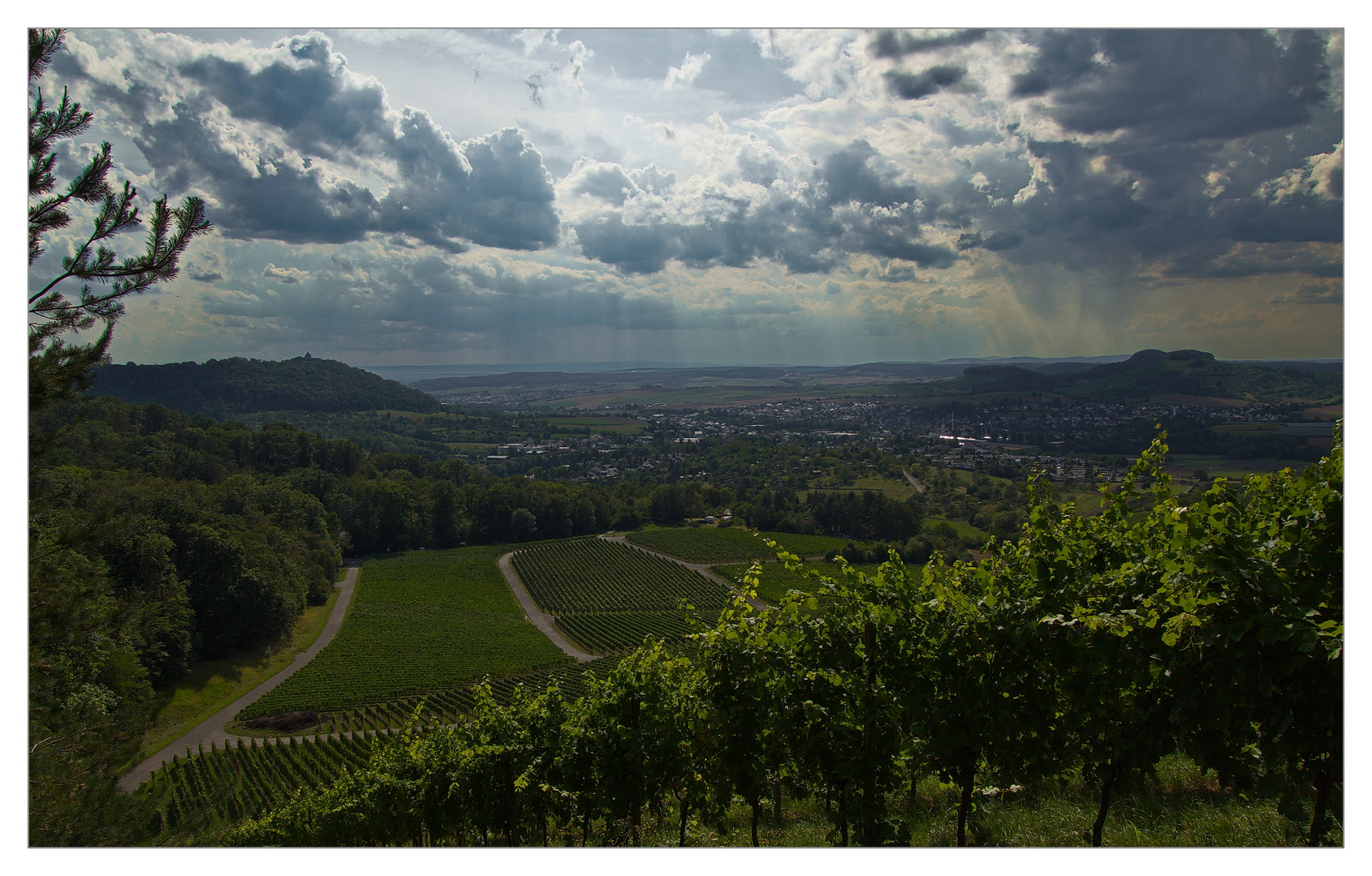 Burg Lichtenberg---Oberstenfeld---Forstkopf---Wunnenstein