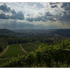 Burg Lichtenberg---Oberstenfeld---Forstkopf---Wunnenstein