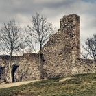 Burg Lichtenberg VI