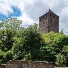 Burg Lichtenberg/Pfalz  (3)