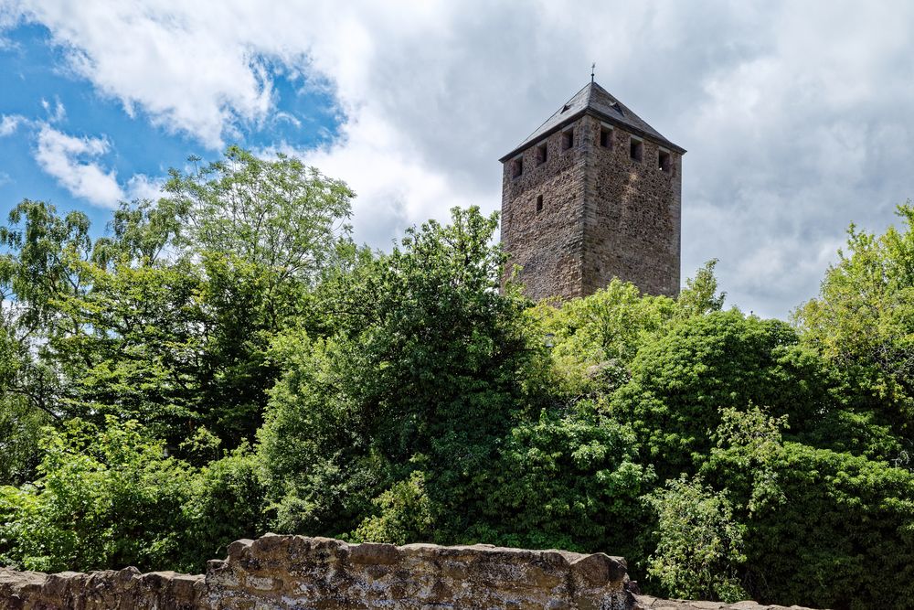 Burg Lichtenberg/Pfalz  (3)